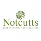Notcutts Promo Codes